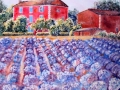 LAVENDAR FARM