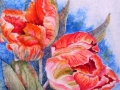 lindas_tulips