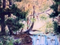 radnor park