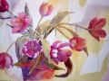 tuliptime