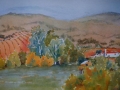 wine_co